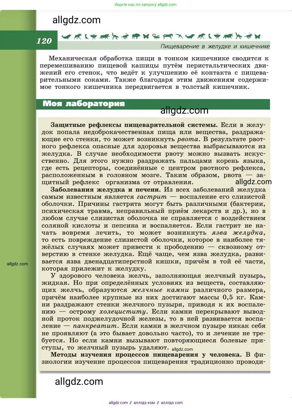 Биология, 8 класс Учебник, авторы: Пасечник Владимир Васильевич, Каменский Андрей Александрович, Швецов Глеб Геннадьевич, издательство Просвещение, Москва, 2019, страница 120