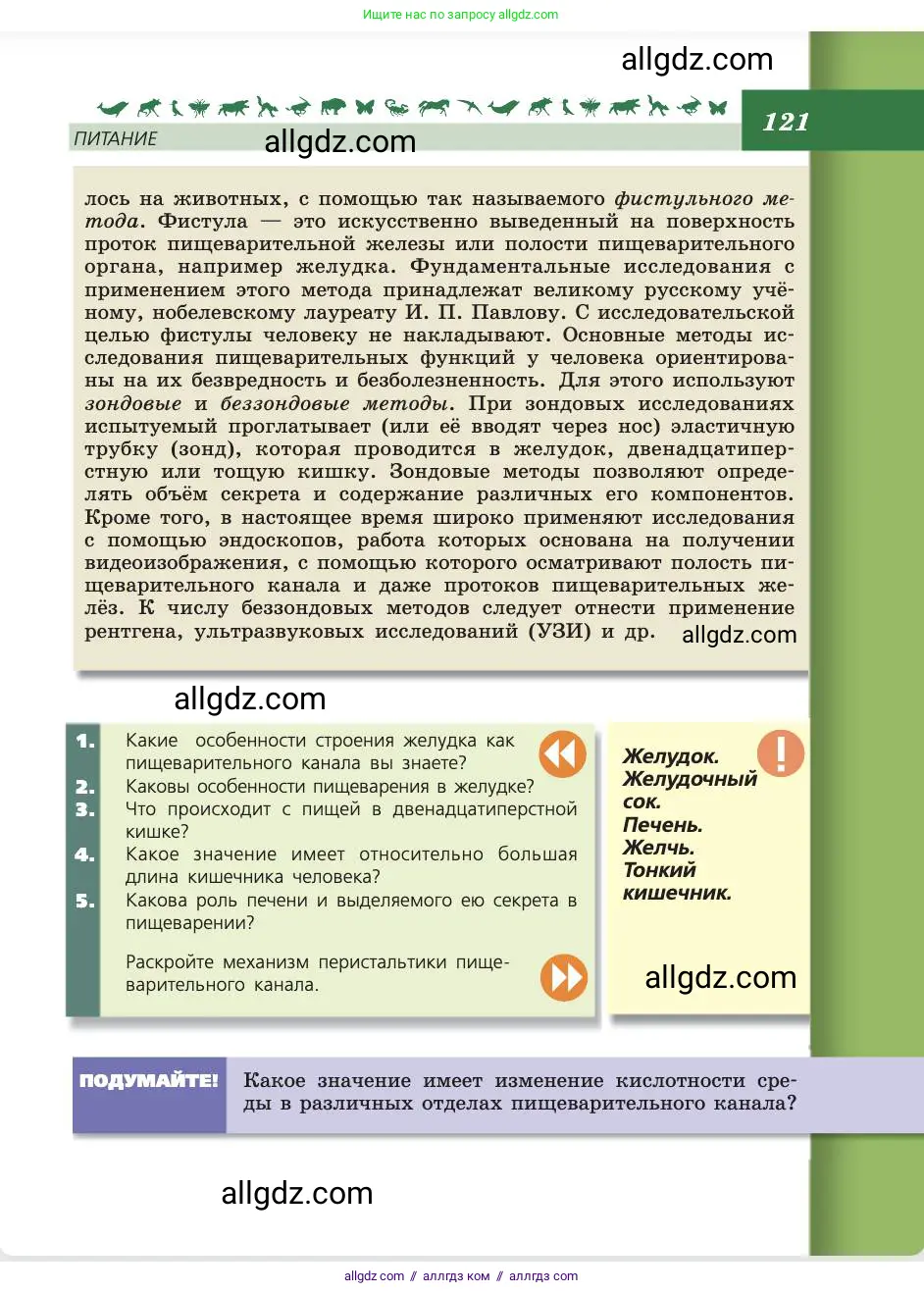 Биология, 8 класс Учебник, авторы: Пасечник Владимир Васильевич, Каменский Андрей Александрович, Швецов Глеб Геннадьевич, издательство Просвещение, Москва, 2019, страница 121