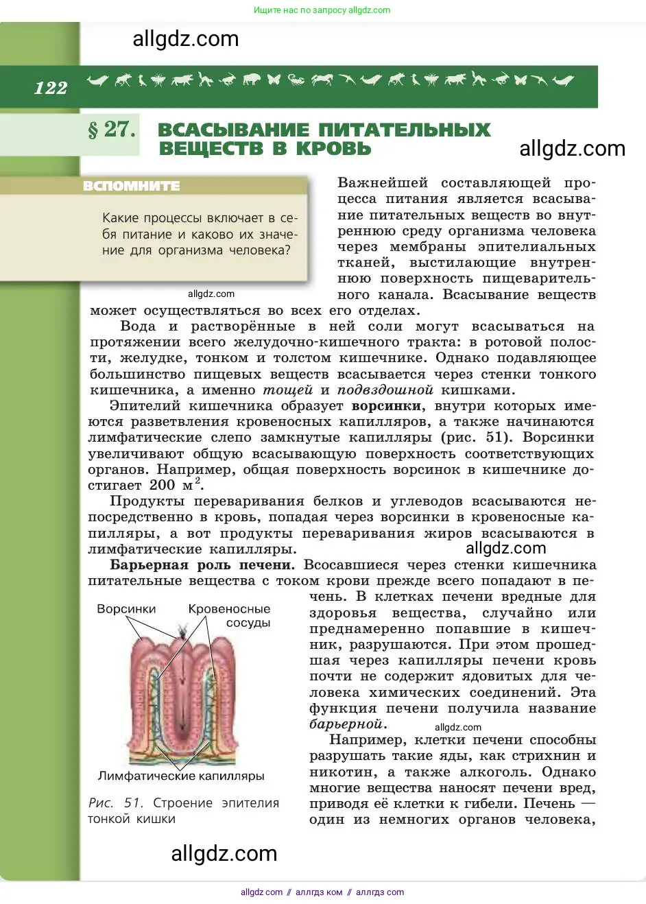 Биология, 8 класс Учебник, авторы: Пасечник Владимир Васильевич, Каменский Андрей Александрович, Швецов Глеб Геннадьевич, издательство Просвещение, Москва, 2019, страница 122
