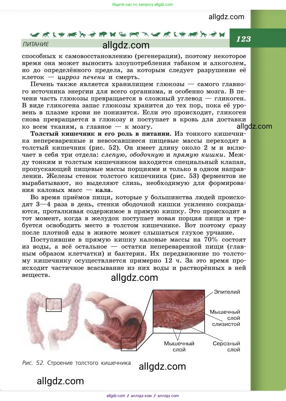 Биология, 8 класс Учебник, авторы: Пасечник Владимир Васильевич, Каменский Андрей Александрович, Швецов Глеб Геннадьевич, издательство Просвещение, Москва, 2019, страница 123