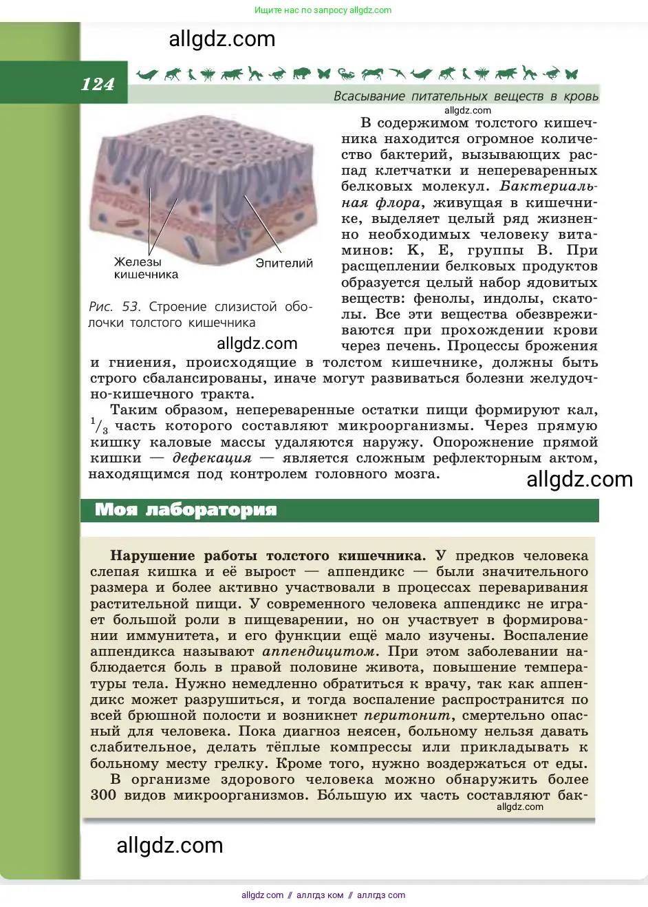 Биология, 8 класс Учебник, авторы: Пасечник Владимир Васильевич, Каменский Андрей Александрович, Швецов Глеб Геннадьевич, издательство Просвещение, Москва, 2019, страница 124