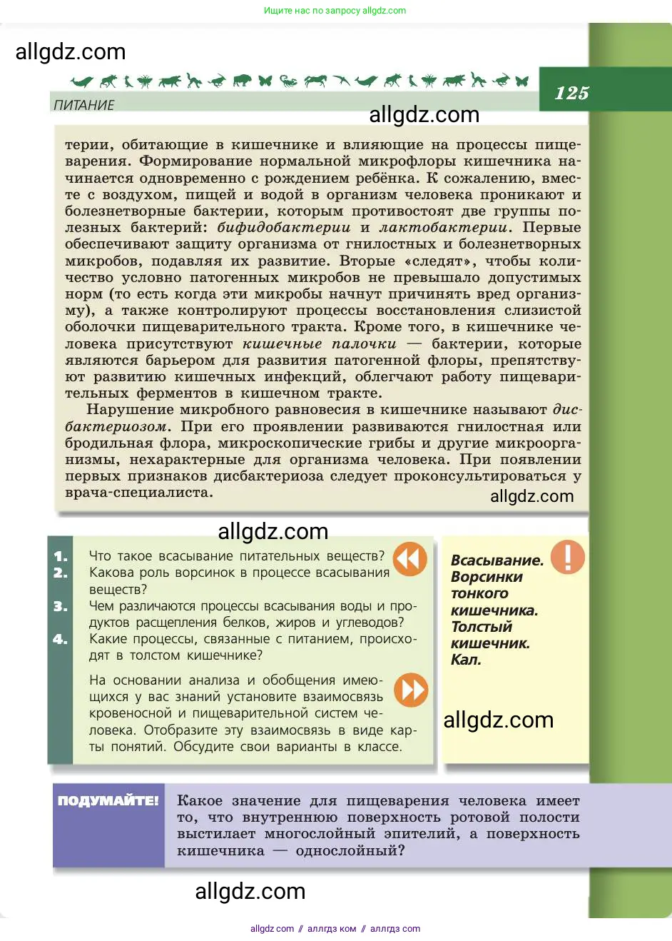 Биология, 8 класс Учебник, авторы: Пасечник Владимир Васильевич, Каменский Андрей Александрович, Швецов Глеб Геннадьевич, издательство Просвещение, Москва, 2019, страница 125