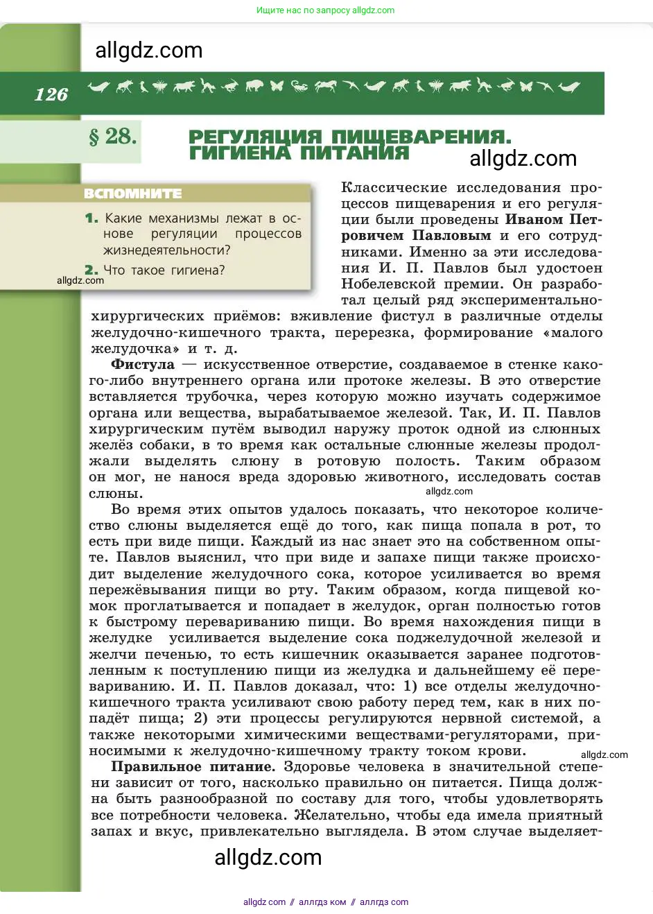 Биология, 8 класс Учебник, авторы: Пасечник Владимир Васильевич, Каменский Андрей Александрович, Швецов Глеб Геннадьевич, издательство Просвещение, Москва, 2019, страница 126