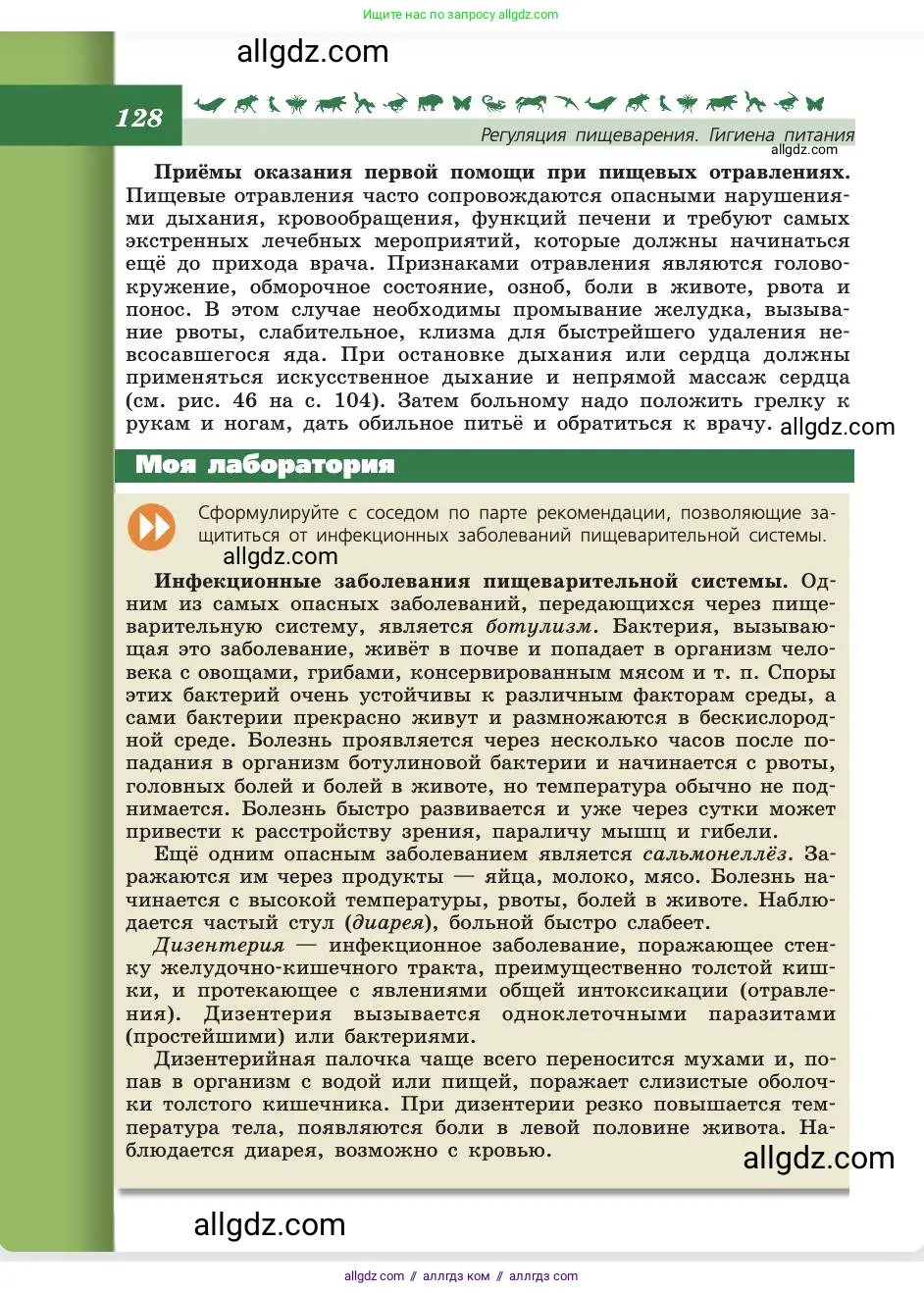 Биология, 8 класс Учебник, авторы: Пасечник Владимир Васильевич, Каменский Андрей Александрович, Швецов Глеб Геннадьевич, издательство Просвещение, Москва, 2019, страница 128