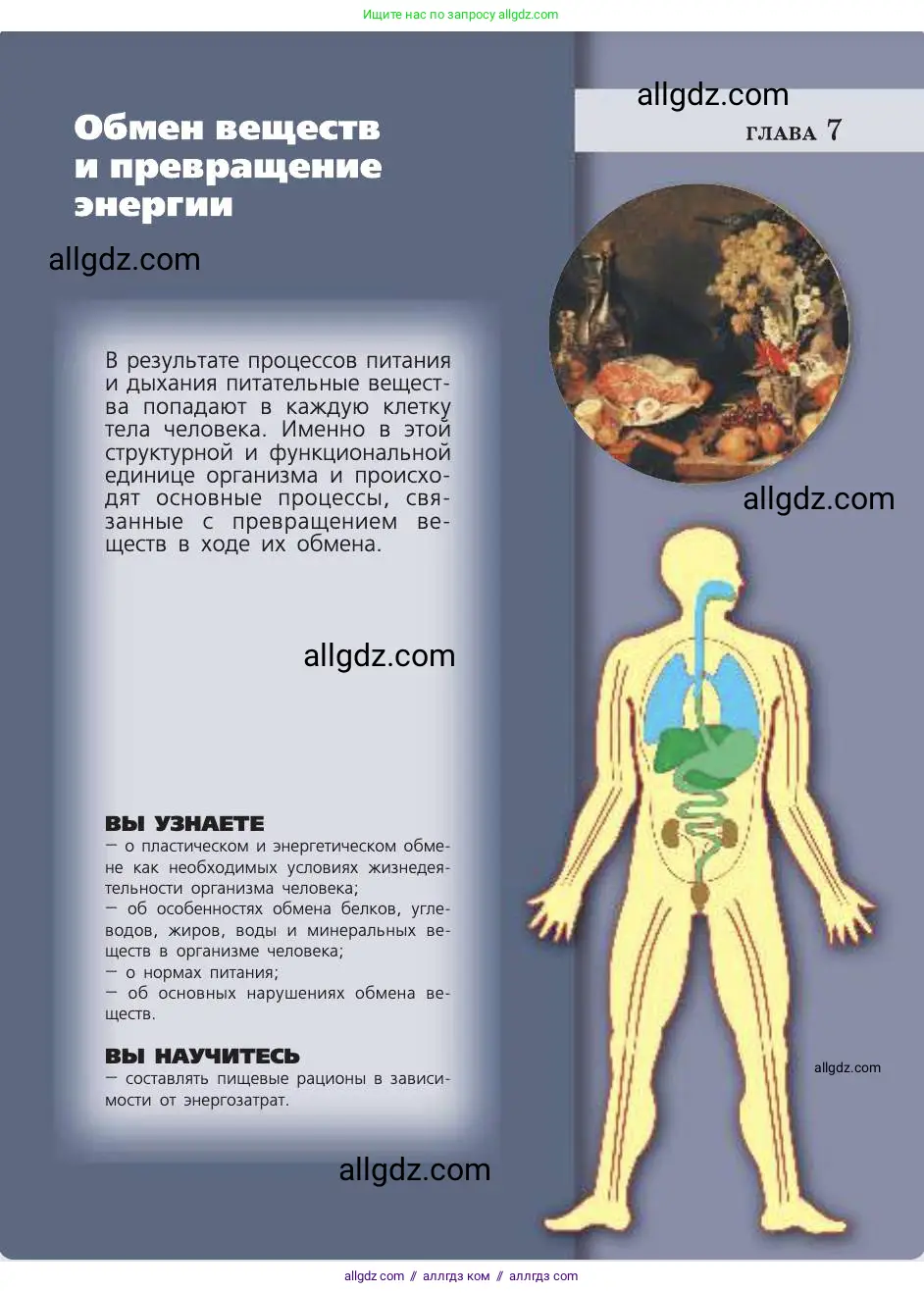Биология, 8 класс Учебник, авторы: Пасечник Владимир Васильевич, Каменский Андрей Александрович, Швецов Глеб Геннадьевич, издательство Просвещение, Москва, 2019, страница 131