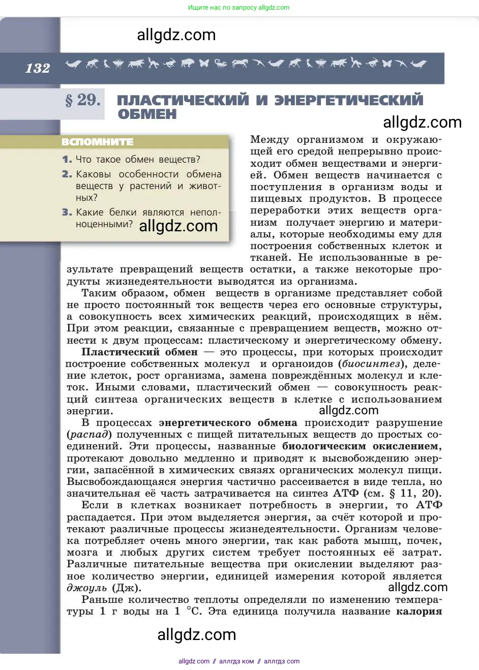 Биология, 8 класс Учебник, авторы: Пасечник Владимир Васильевич, Каменский Андрей Александрович, Швецов Глеб Геннадьевич, издательство Просвещение, Москва, 2019, страница 132