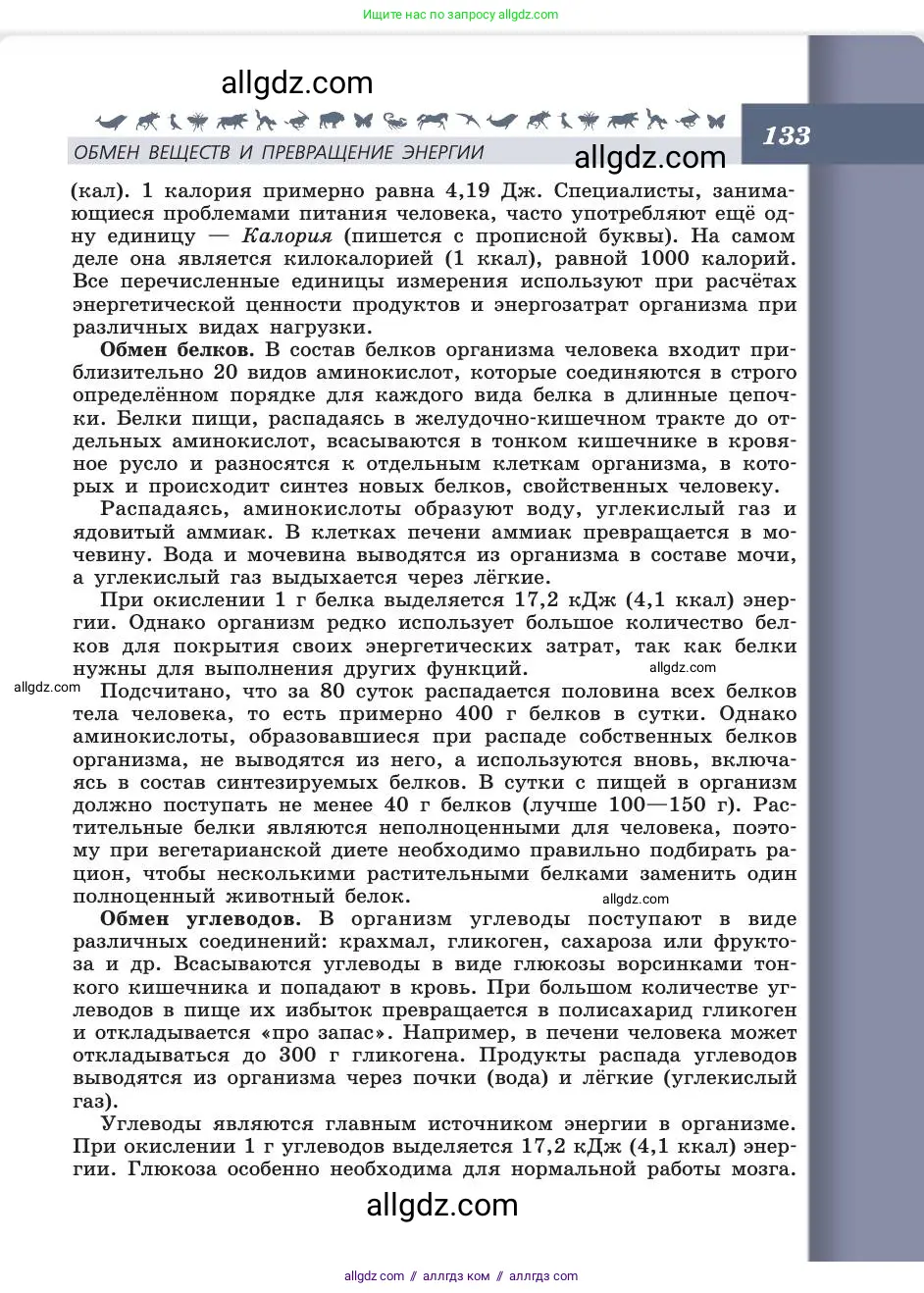 Биология, 8 класс Учебник, авторы: Пасечник Владимир Васильевич, Каменский Андрей Александрович, Швецов Глеб Геннадьевич, издательство Просвещение, Москва, 2019, страница 133