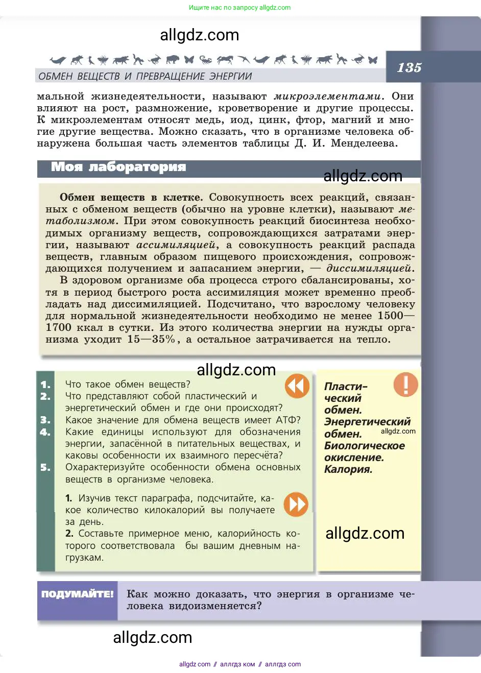 Биология, 8 класс Учебник, авторы: Пасечник Владимир Васильевич, Каменский Андрей Александрович, Швецов Глеб Геннадьевич, издательство Просвещение, Москва, 2019, страница 135