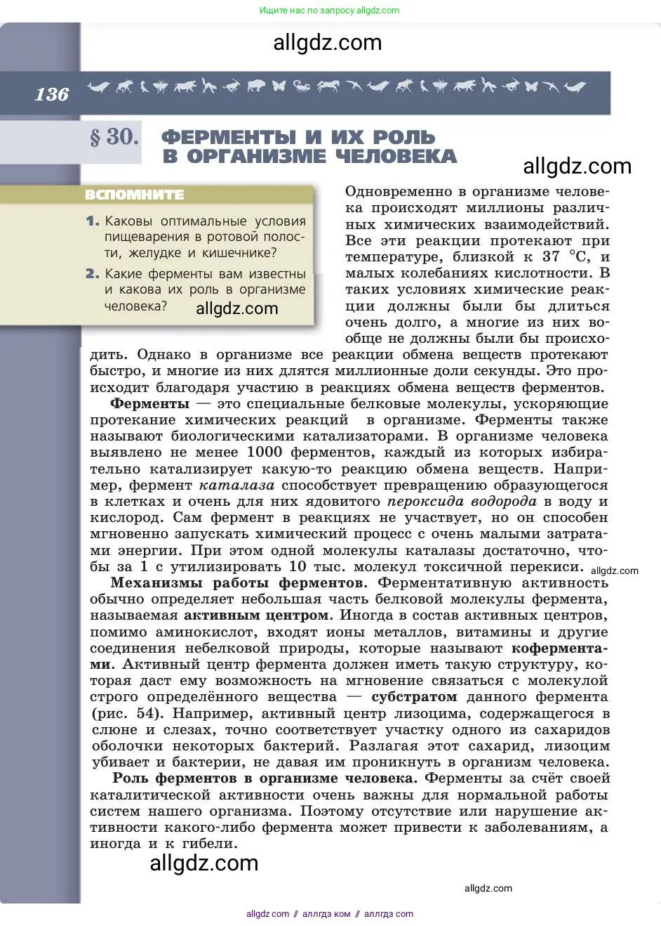 Биология, 8 класс Учебник, авторы: Пасечник Владимир Васильевич, Каменский Андрей Александрович, Швецов Глеб Геннадьевич, издательство Просвещение, Москва, 2019, страница 136
