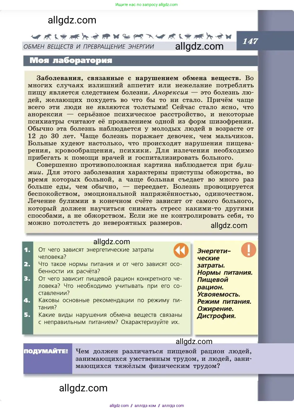 Биология, 8 класс Учебник, авторы: Пасечник Владимир Васильевич, Каменский Андрей Александрович, Швецов Глеб Геннадьевич, издательство Просвещение, Москва, 2019, страница 147