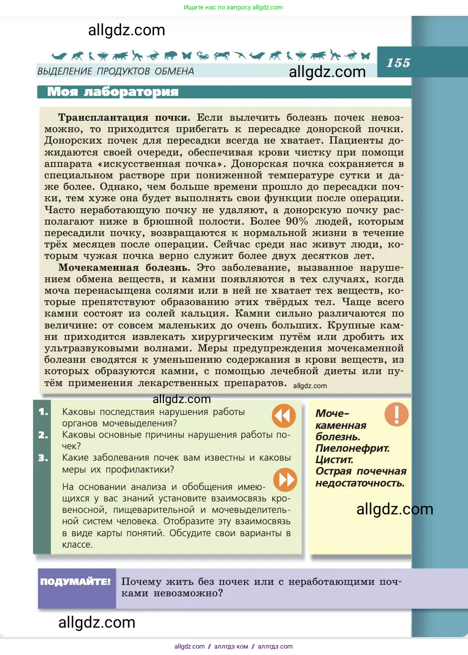 Биология, 8 класс Учебник, авторы: Пасечник Владимир Васильевич, Каменский Андрей Александрович, Швецов Глеб Геннадьевич, издательство Просвещение, Москва, 2019, страница 155