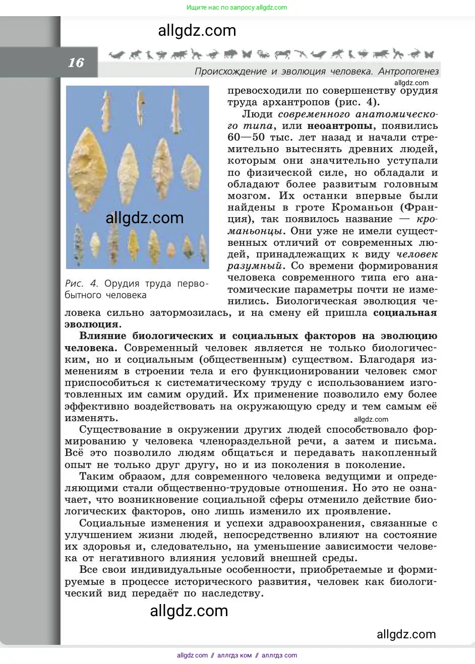 Биология, 8 класс Учебник, авторы: Пасечник Владимир Васильевич, Каменский Андрей Александрович, Швецов Глеб Геннадьевич, издательство Просвещение, Москва, 2019, страница 16