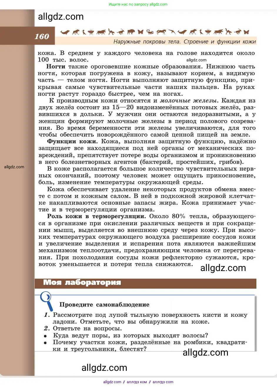 Биология, 8 класс Учебник, авторы: Пасечник Владимир Васильевич, Каменский Андрей Александрович, Швецов Глеб Геннадьевич, издательство Просвещение, Москва, 2019, страница 160