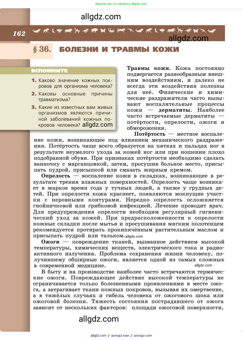 Биология, 8 класс Учебник, авторы: Пасечник Владимир Васильевич, Каменский Андрей Александрович, Швецов Глеб Геннадьевич, издательство Просвещение, Москва, 2019, страница 162