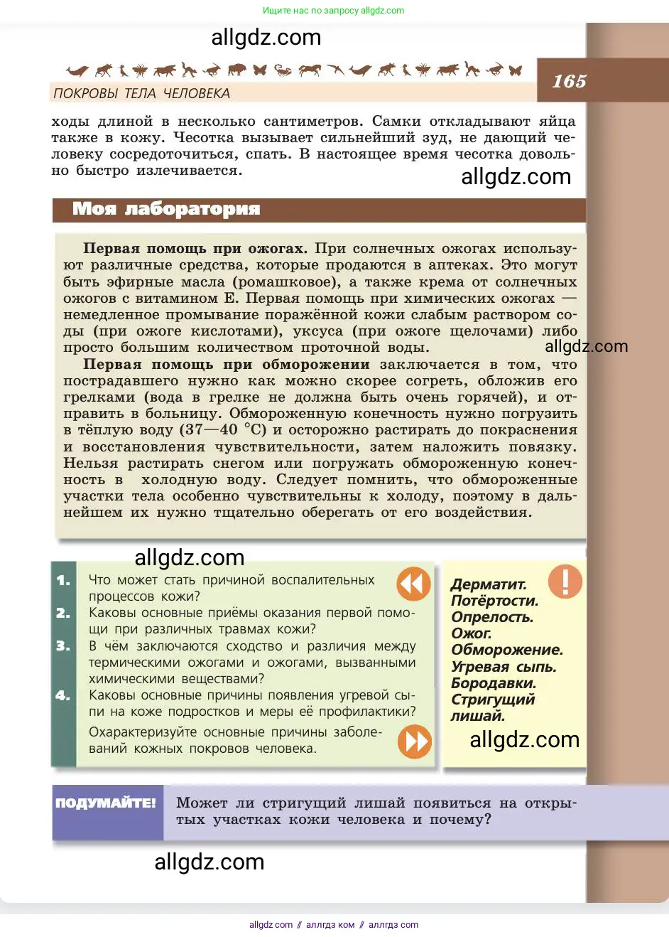 Биология, 8 класс Учебник, авторы: Пасечник Владимир Васильевич, Каменский Андрей Александрович, Швецов Глеб Геннадьевич, издательство Просвещение, Москва, 2019, страница 165