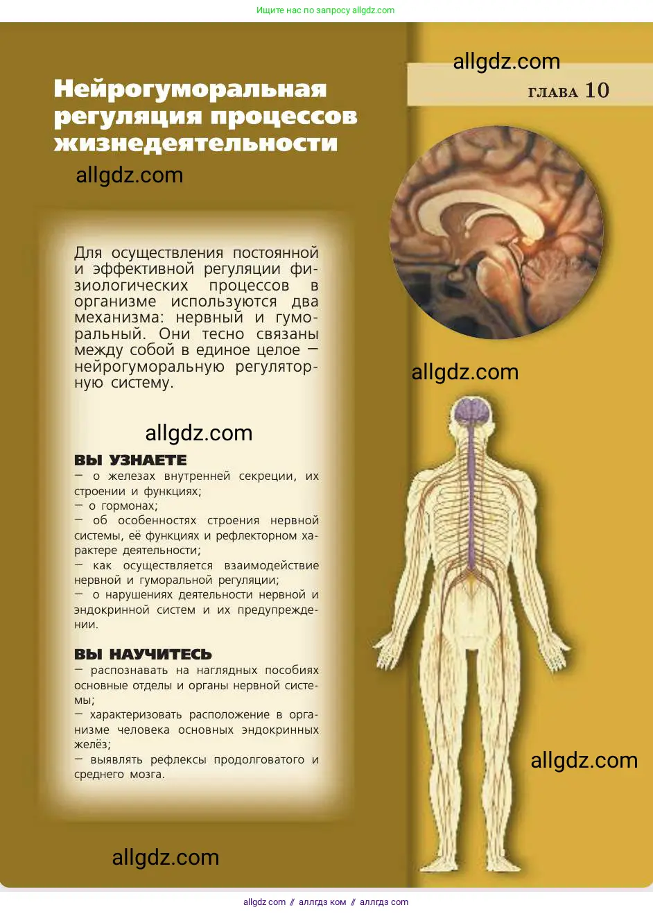 Биология, 8 класс Учебник, авторы: Пасечник Владимир Васильевич, Каменский Андрей Александрович, Швецов Глеб Геннадьевич, издательство Просвещение, Москва, 2019, страница 171