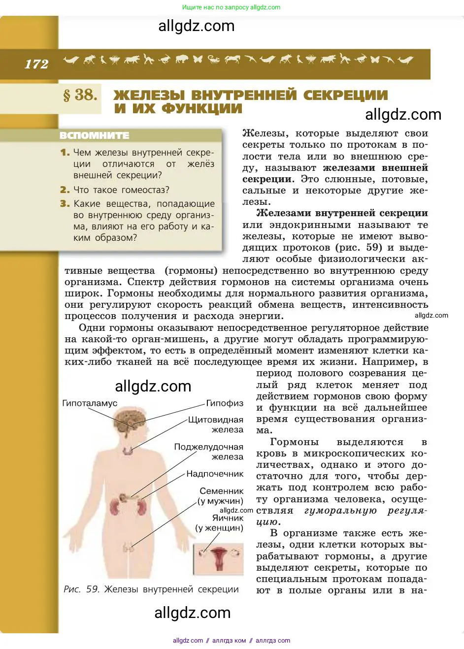 Биология, 8 класс Учебник, авторы: Пасечник Владимир Васильевич, Каменский Андрей Александрович, Швецов Глеб Геннадьевич, издательство Просвещение, Москва, 2019, страница 172