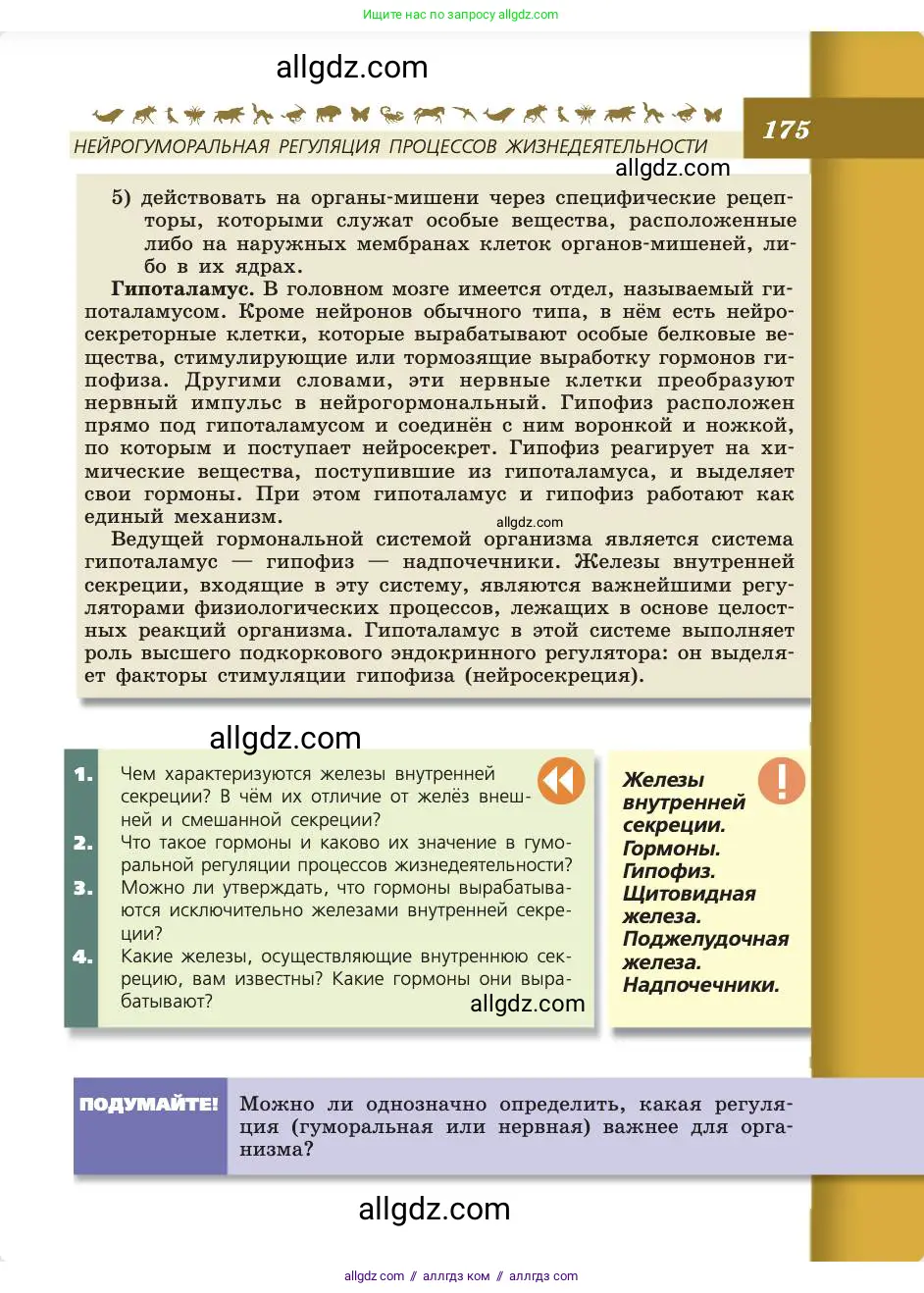 Биология, 8 класс Учебник, авторы: Пасечник Владимир Васильевич, Каменский Андрей Александрович, Швецов Глеб Геннадьевич, издательство Просвещение, Москва, 2019, страница 175