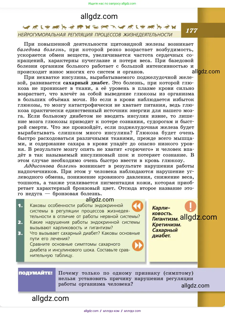 Биология, 8 класс Учебник, авторы: Пасечник Владимир Васильевич, Каменский Андрей Александрович, Швецов Глеб Геннадьевич, издательство Просвещение, Москва, 2019, страница 177