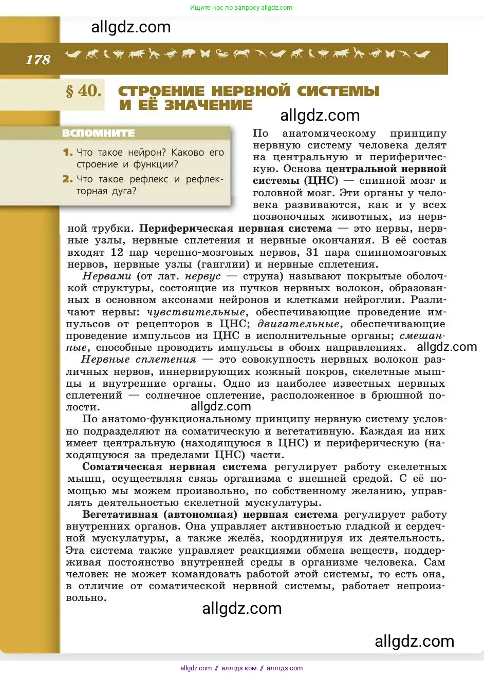 Биология, 8 класс Учебник, авторы: Пасечник Владимир Васильевич, Каменский Андрей Александрович, Швецов Глеб Геннадьевич, издательство Просвещение, Москва, 2019, страница 178