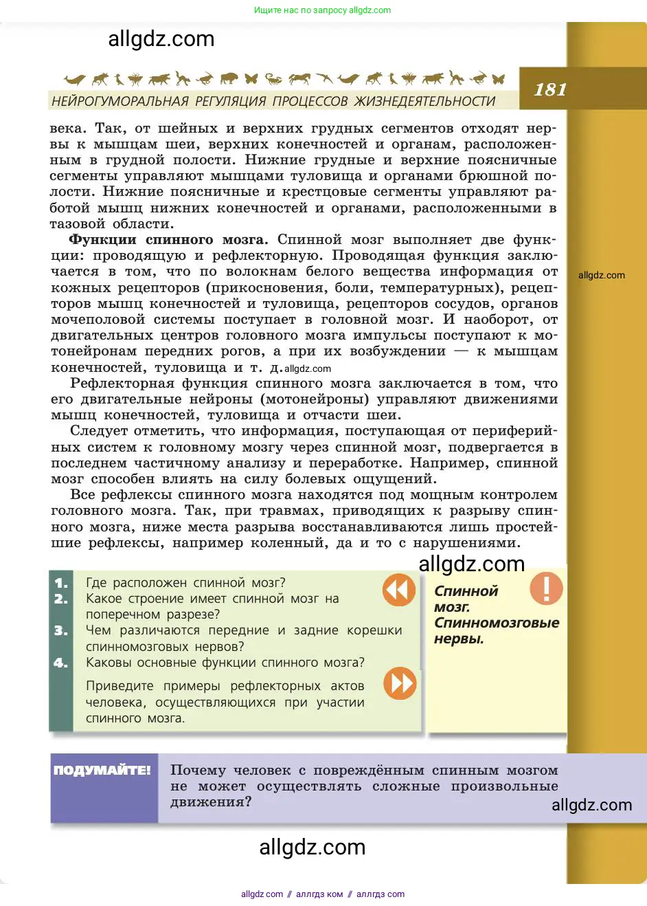 Биология, 8 класс Учебник, авторы: Пасечник Владимир Васильевич, Каменский Андрей Александрович, Швецов Глеб Геннадьевич, издательство Просвещение, Москва, 2019, страница 181