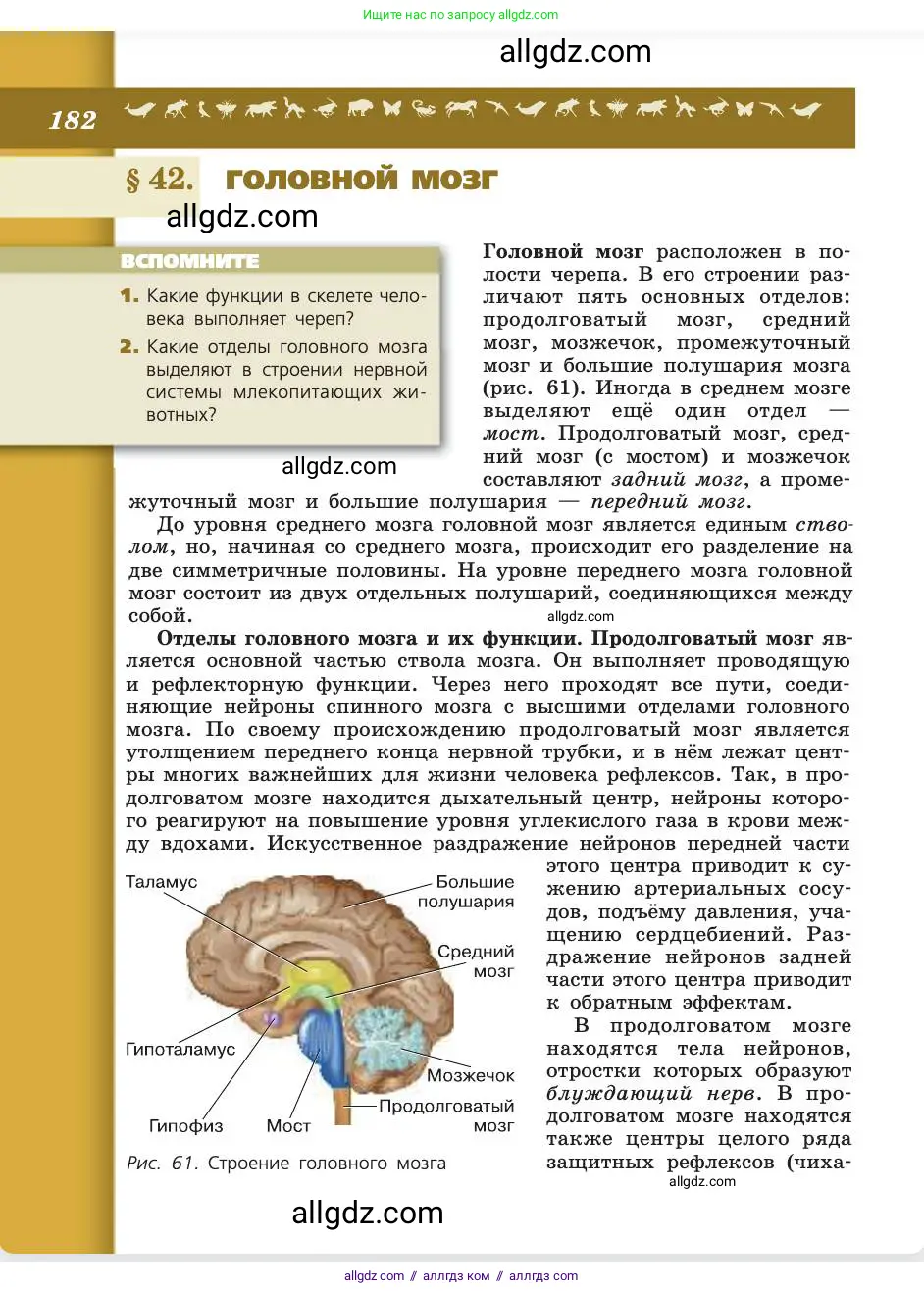 Биология, 8 класс Учебник, авторы: Пасечник Владимир Васильевич, Каменский Андрей Александрович, Швецов Глеб Геннадьевич, издательство Просвещение, Москва, 2019, страница 182
