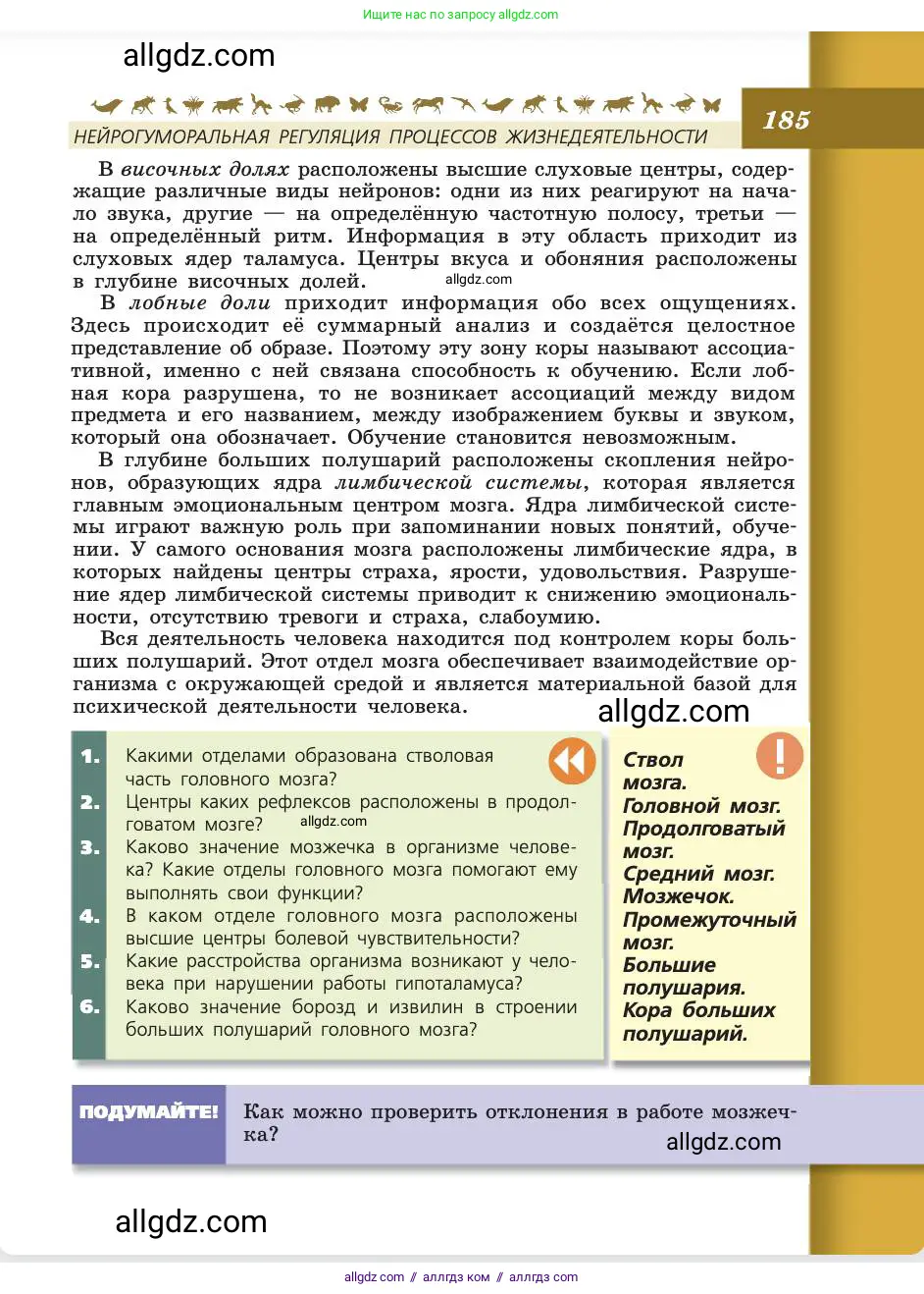 Биология, 8 класс Учебник, авторы: Пасечник Владимир Васильевич, Каменский Андрей Александрович, Швецов Глеб Геннадьевич, издательство Просвещение, Москва, 2019, страница 185