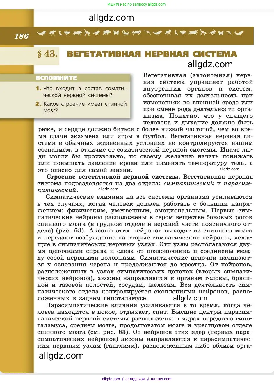 Биология, 8 класс Учебник, авторы: Пасечник Владимир Васильевич, Каменский Андрей Александрович, Швецов Глеб Геннадьевич, издательство Просвещение, Москва, 2019, страница 186