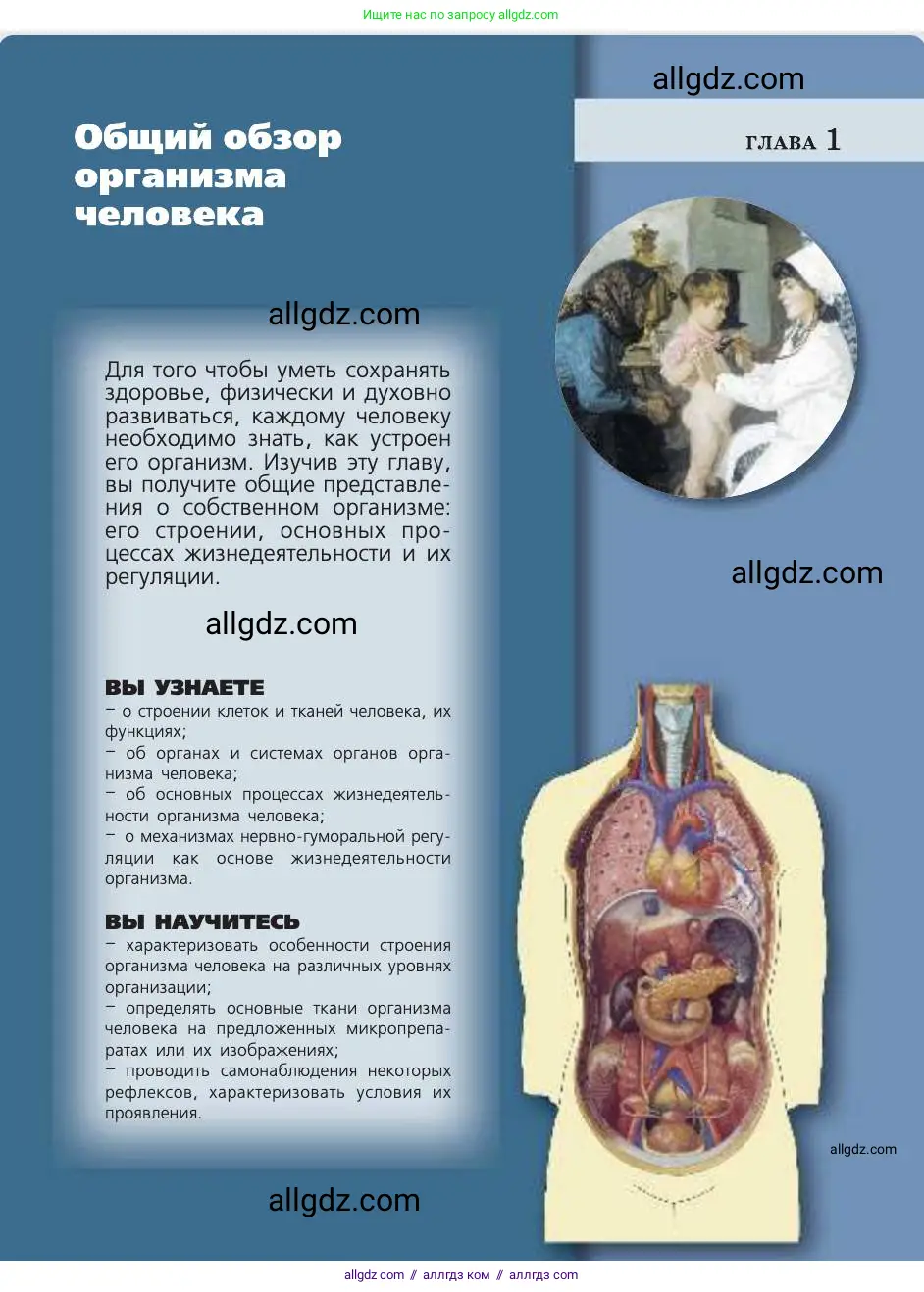 Биология, 8 класс Учебник, авторы: Пасечник Владимир Васильевич, Каменский Андрей Александрович, Швецов Глеб Геннадьевич, издательство Просвещение, Москва, 2019, страница 19