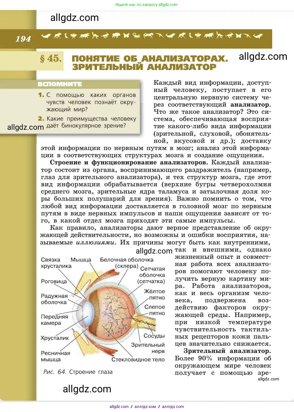 Биология, 8 класс Учебник, авторы: Пасечник Владимир Васильевич, Каменский Андрей Александрович, Швецов Глеб Геннадьевич, издательство Просвещение, Москва, 2019, страница 194