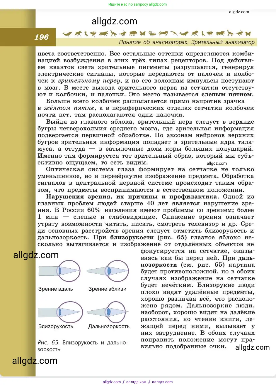 Биология, 8 класс Учебник, авторы: Пасечник Владимир Васильевич, Каменский Андрей Александрович, Швецов Глеб Геннадьевич, издательство Просвещение, Москва, 2019, страница 196