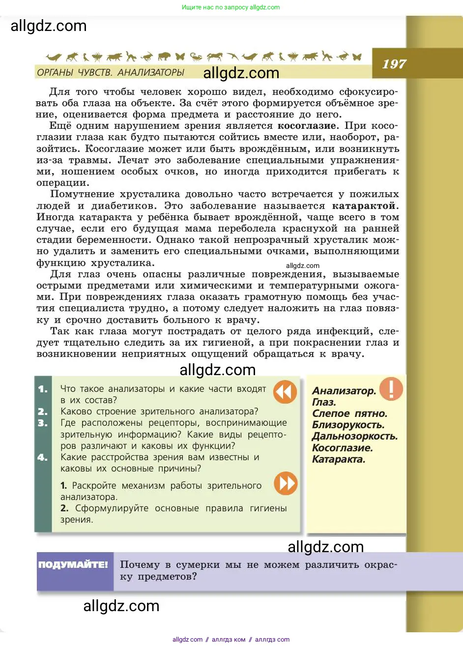 Биология, 8 класс Учебник, авторы: Пасечник Владимир Васильевич, Каменский Андрей Александрович, Швецов Глеб Геннадьевич, издательство Просвещение, Москва, 2019, страница 197