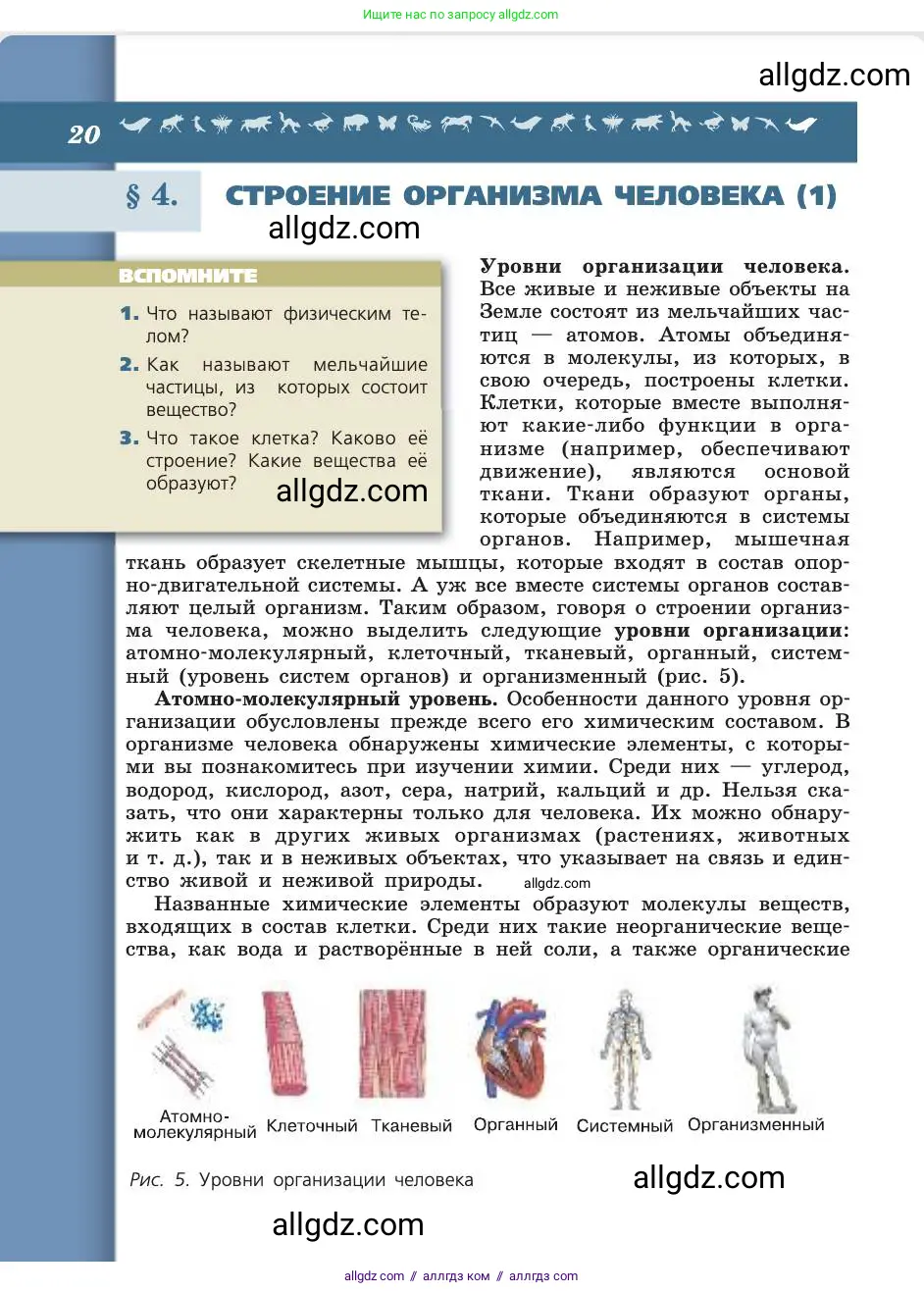 Биология, 8 класс Учебник, авторы: Пасечник Владимир Васильевич, Каменский Андрей Александрович, Швецов Глеб Геннадьевич, издательство Просвещение, Москва, 2019, страница 20