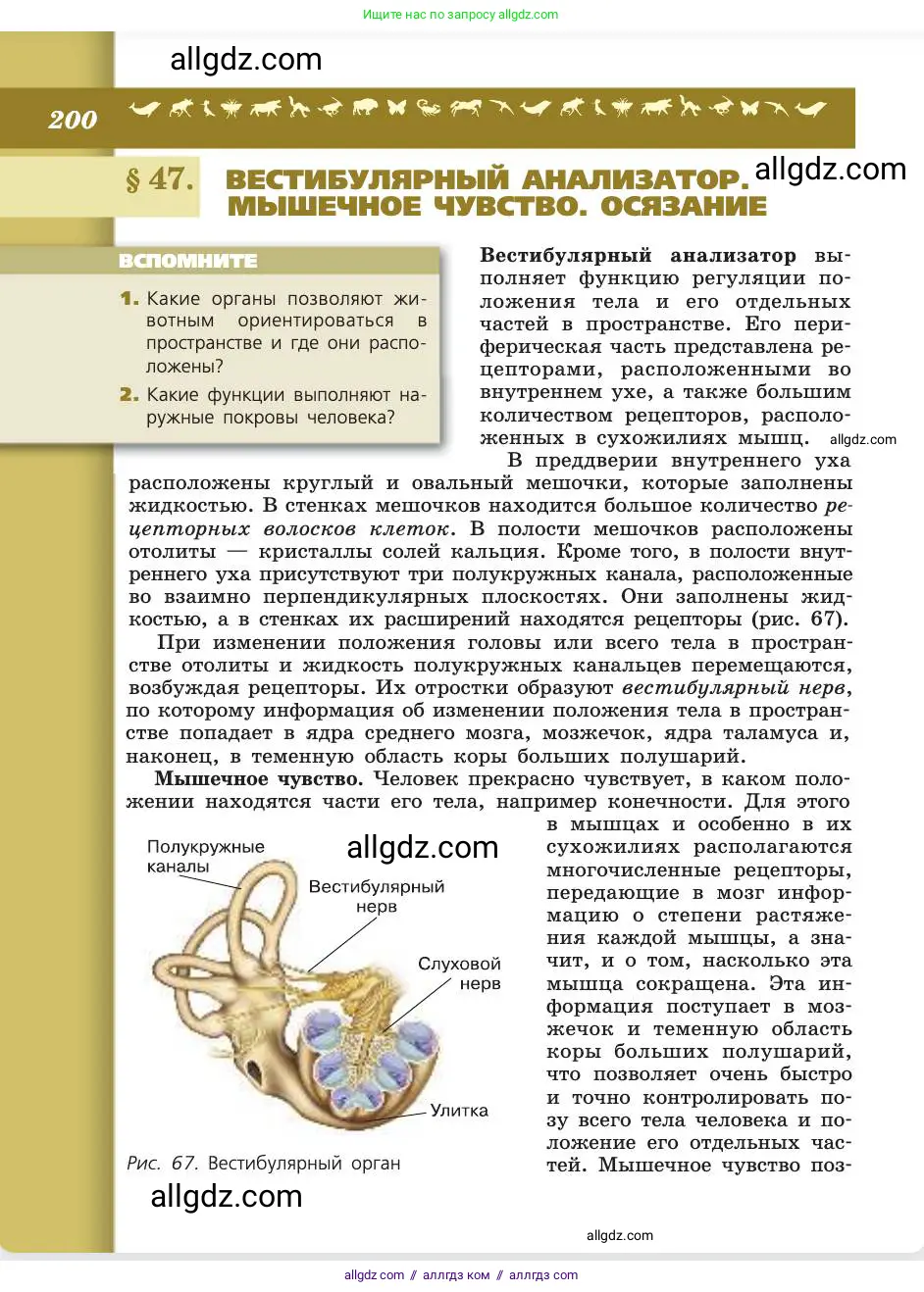 Биология, 8 класс Учебник, авторы: Пасечник Владимир Васильевич, Каменский Андрей Александрович, Швецов Глеб Геннадьевич, издательство Просвещение, Москва, 2019, страница 200