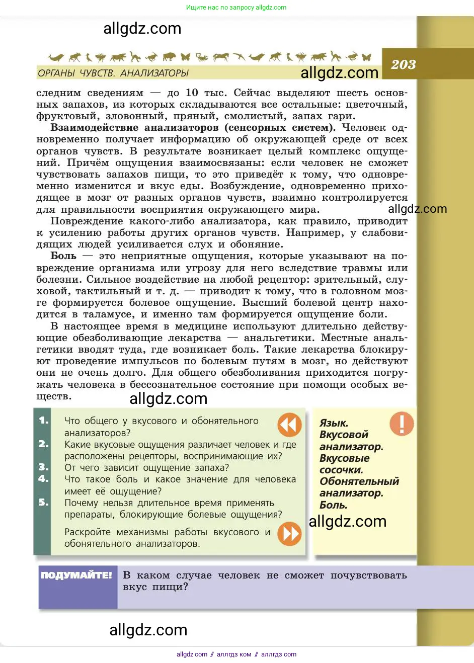 Биология, 8 класс Учебник, авторы: Пасечник Владимир Васильевич, Каменский Андрей Александрович, Швецов Глеб Геннадьевич, издательство Просвещение, Москва, 2019, страница 203