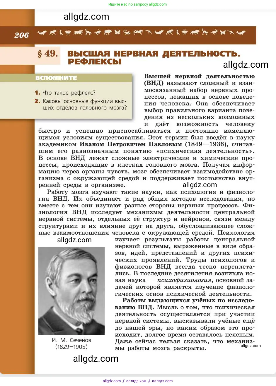 Биология, 8 класс Учебник, авторы: Пасечник Владимир Васильевич, Каменский Андрей Александрович, Швецов Глеб Геннадьевич, издательство Просвещение, Москва, 2019, страница 206