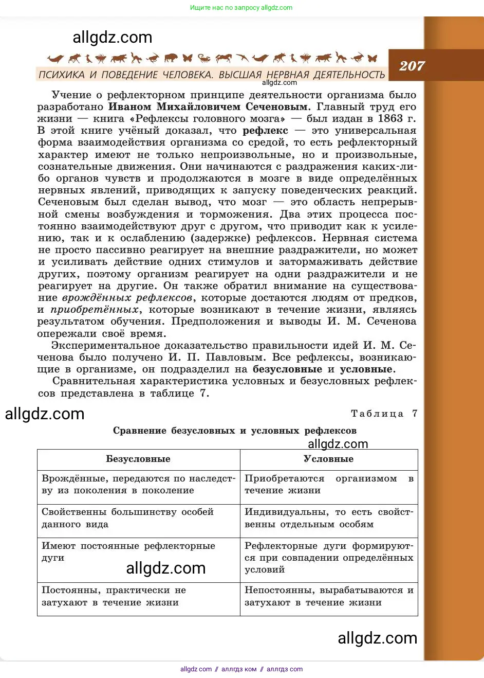Биология, 8 класс Учебник, авторы: Пасечник Владимир Васильевич, Каменский Андрей Александрович, Швецов Глеб Геннадьевич, издательство Просвещение, Москва, 2019, страница 207