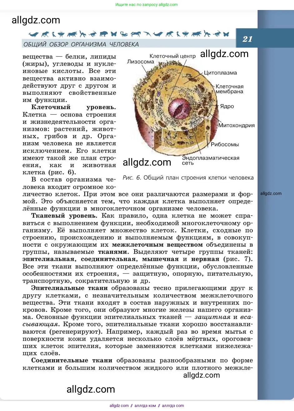 Биология, 8 класс Учебник, авторы: Пасечник Владимир Васильевич, Каменский Андрей Александрович, Швецов Глеб Геннадьевич, издательство Просвещение, Москва, 2019, страница 21