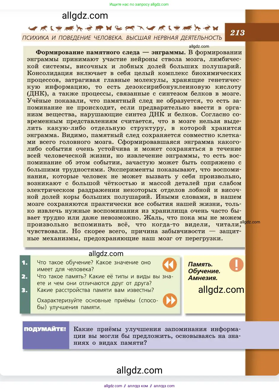 Биология, 8 класс Учебник, авторы: Пасечник Владимир Васильевич, Каменский Андрей Александрович, Швецов Глеб Геннадьевич, издательство Просвещение, Москва, 2019, страница 213