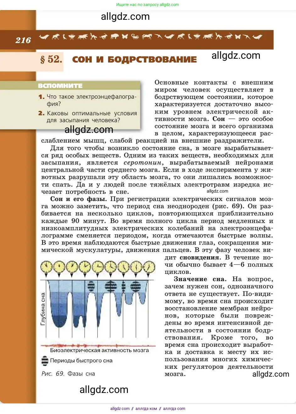Биология, 8 класс Учебник, авторы: Пасечник Владимир Васильевич, Каменский Андрей Александрович, Швецов Глеб Геннадьевич, издательство Просвещение, Москва, 2019, страница 216