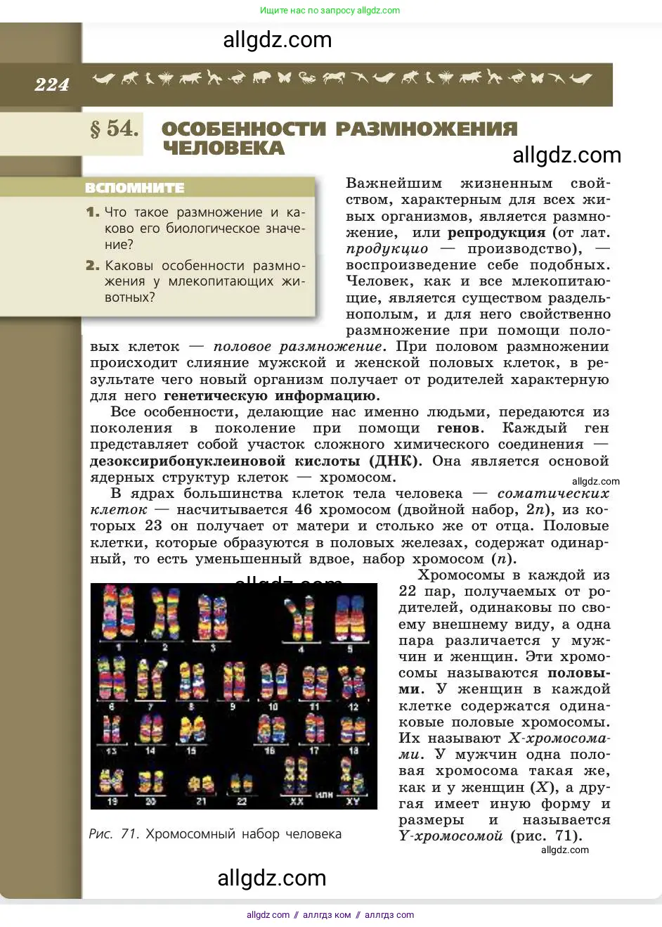 Биология, 8 класс Учебник, авторы: Пасечник Владимир Васильевич, Каменский Андрей Александрович, Швецов Глеб Геннадьевич, издательство Просвещение, Москва, 2019, страница 224