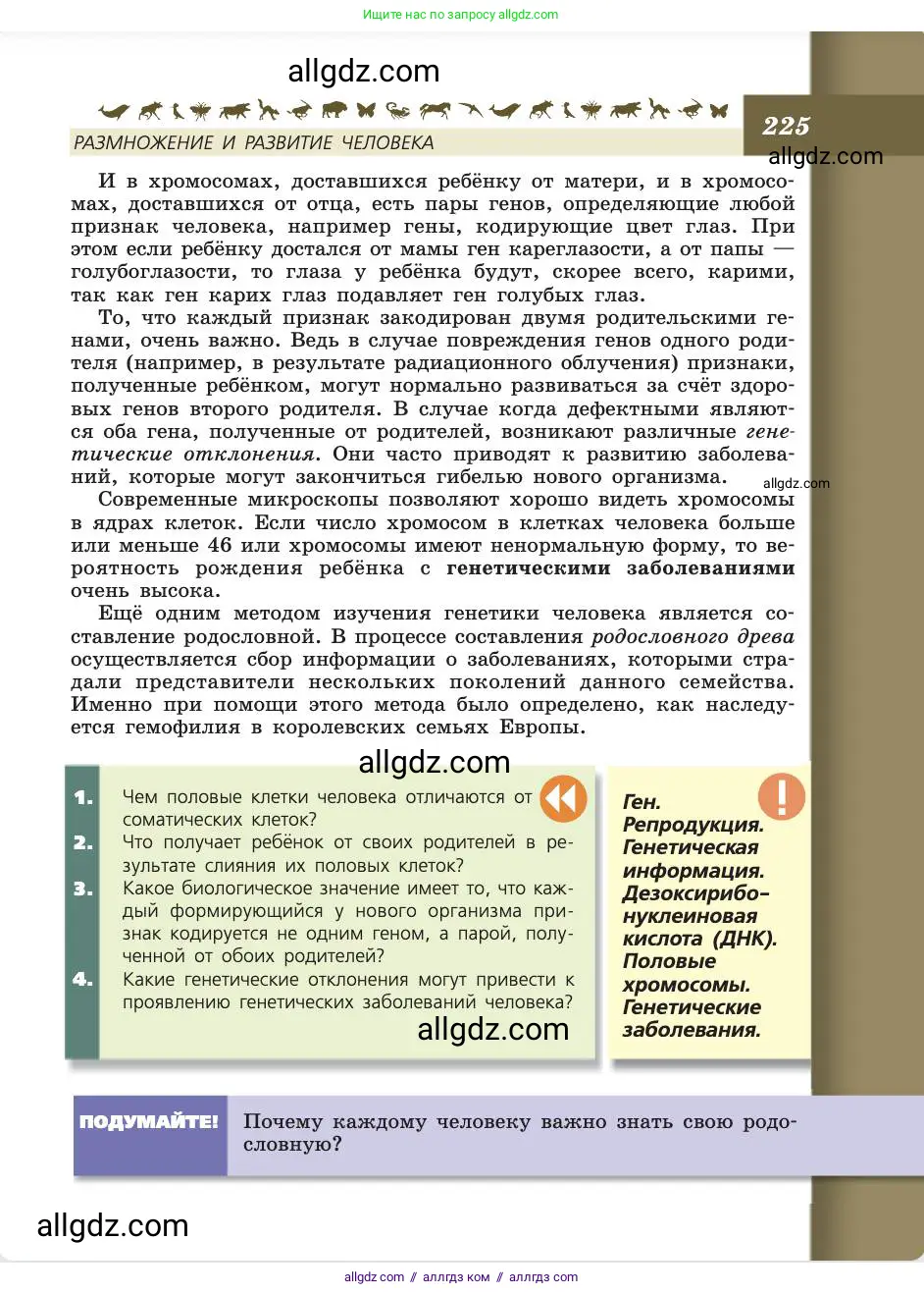 Биология, 8 класс Учебник, авторы: Пасечник Владимир Васильевич, Каменский Андрей Александрович, Швецов Глеб Геннадьевич, издательство Просвещение, Москва, 2019, страница 225