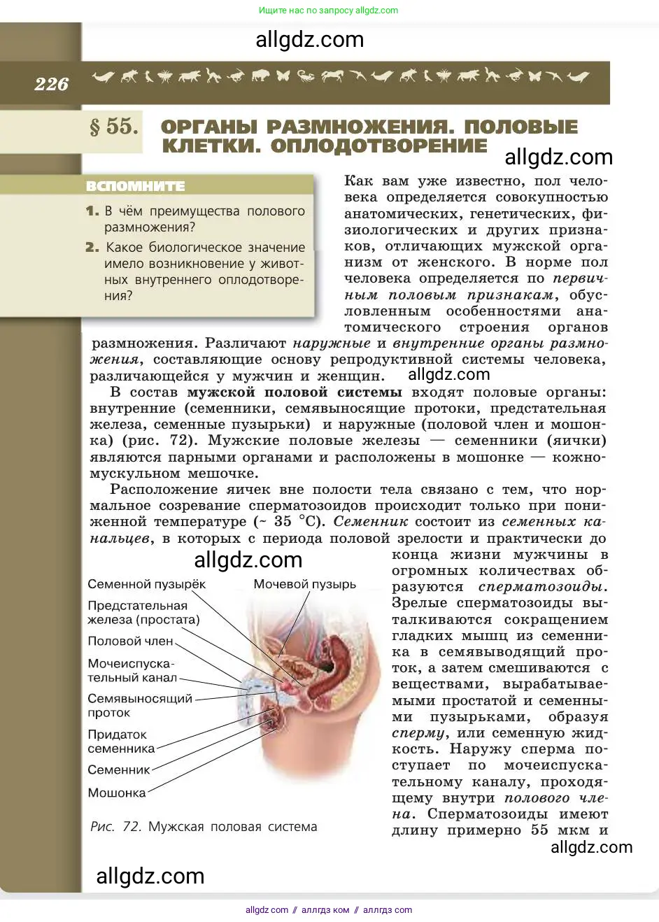 Биология, 8 класс Учебник, авторы: Пасечник Владимир Васильевич, Каменский Андрей Александрович, Швецов Глеб Геннадьевич, издательство Просвещение, Москва, 2019, страница 226