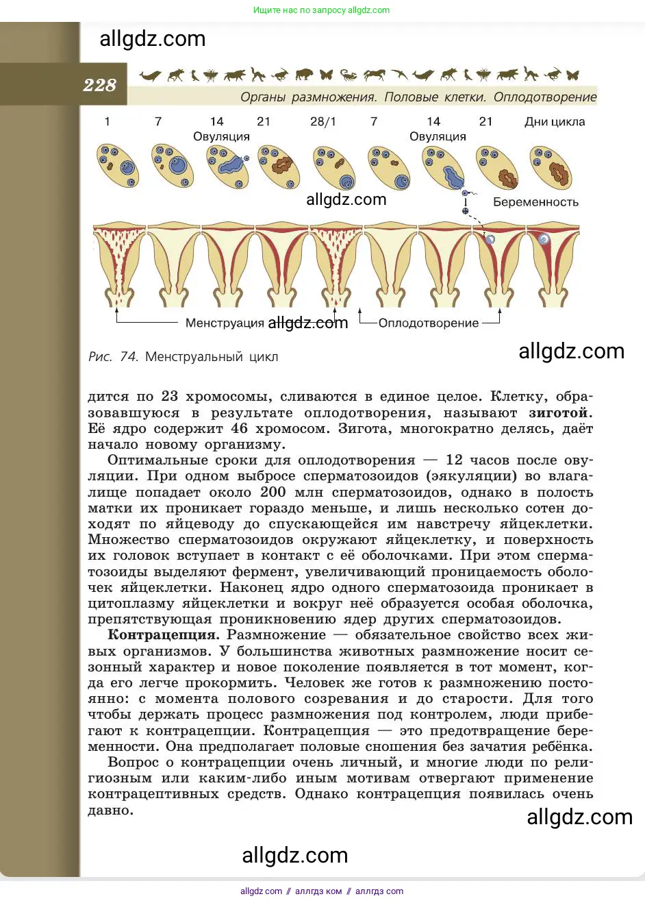 Биология, 8 класс Учебник, авторы: Пасечник Владимир Васильевич, Каменский Андрей Александрович, Швецов Глеб Геннадьевич, издательство Просвещение, Москва, 2019, страница 228