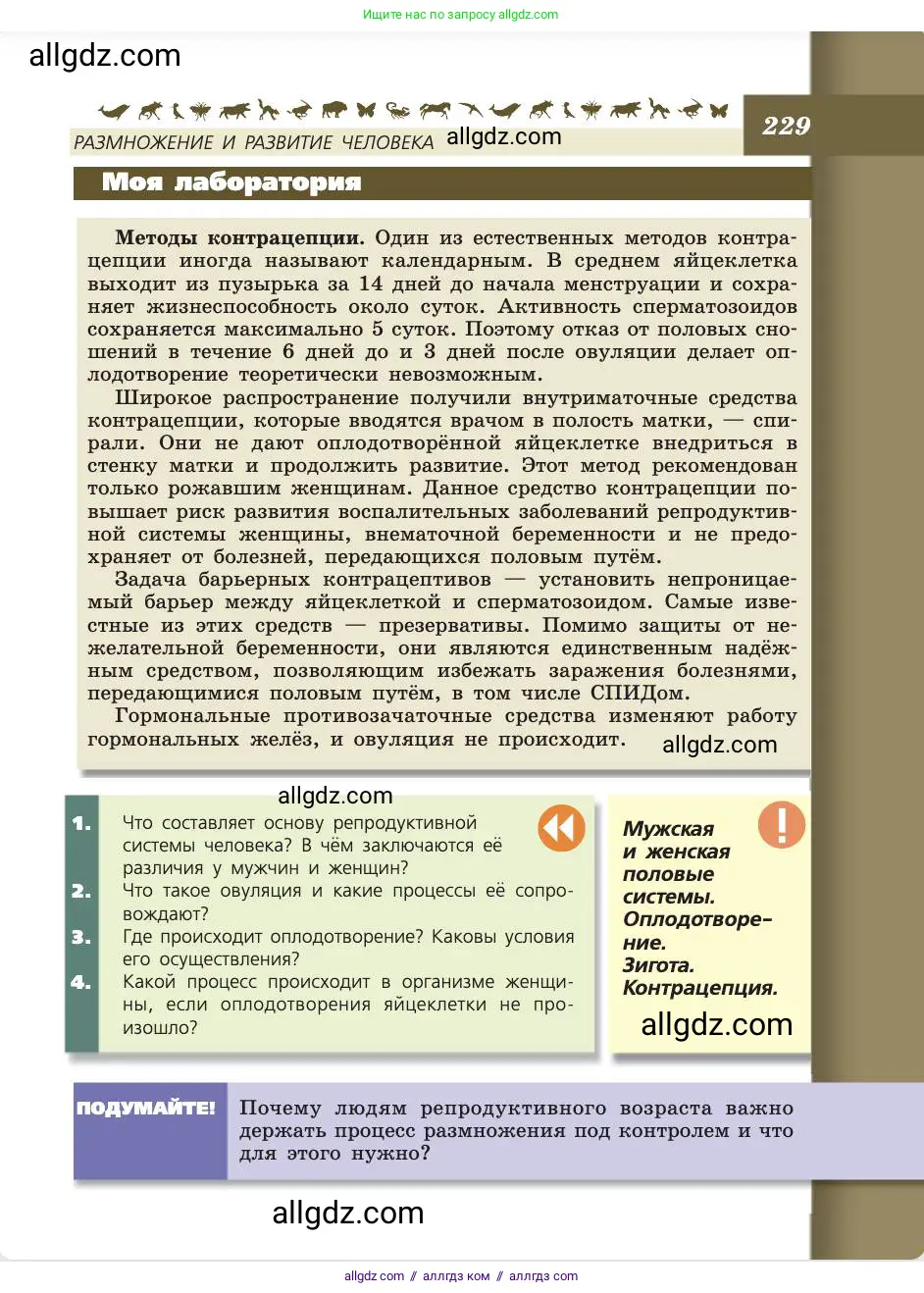 Биология, 8 класс Учебник, авторы: Пасечник Владимир Васильевич, Каменский Андрей Александрович, Швецов Глеб Геннадьевич, издательство Просвещение, Москва, 2019, страница 229