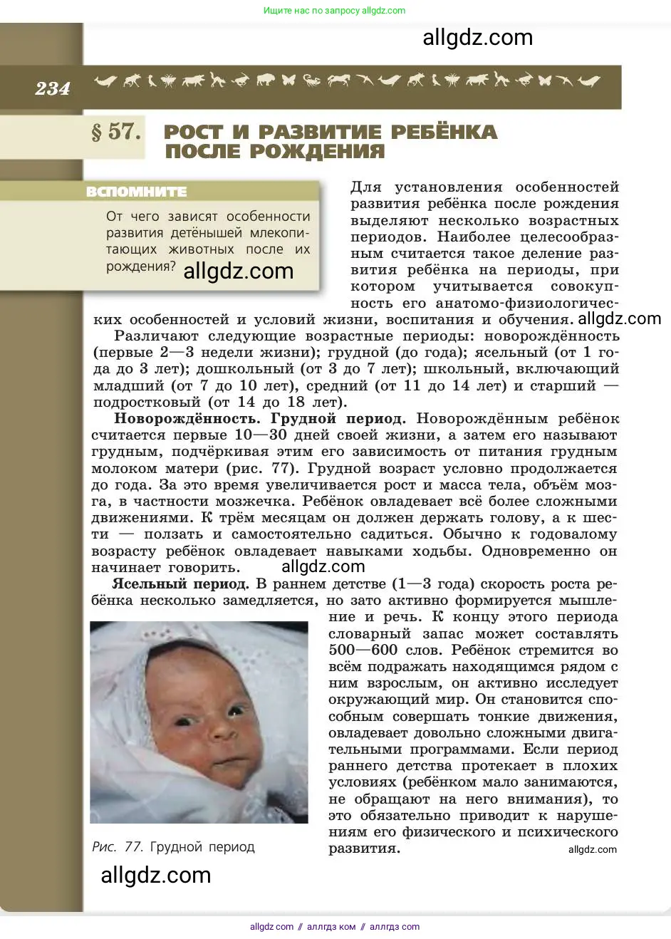 Биология, 8 класс Учебник, авторы: Пасечник Владимир Васильевич, Каменский Андрей Александрович, Швецов Глеб Геннадьевич, издательство Просвещение, Москва, 2019, страница 234