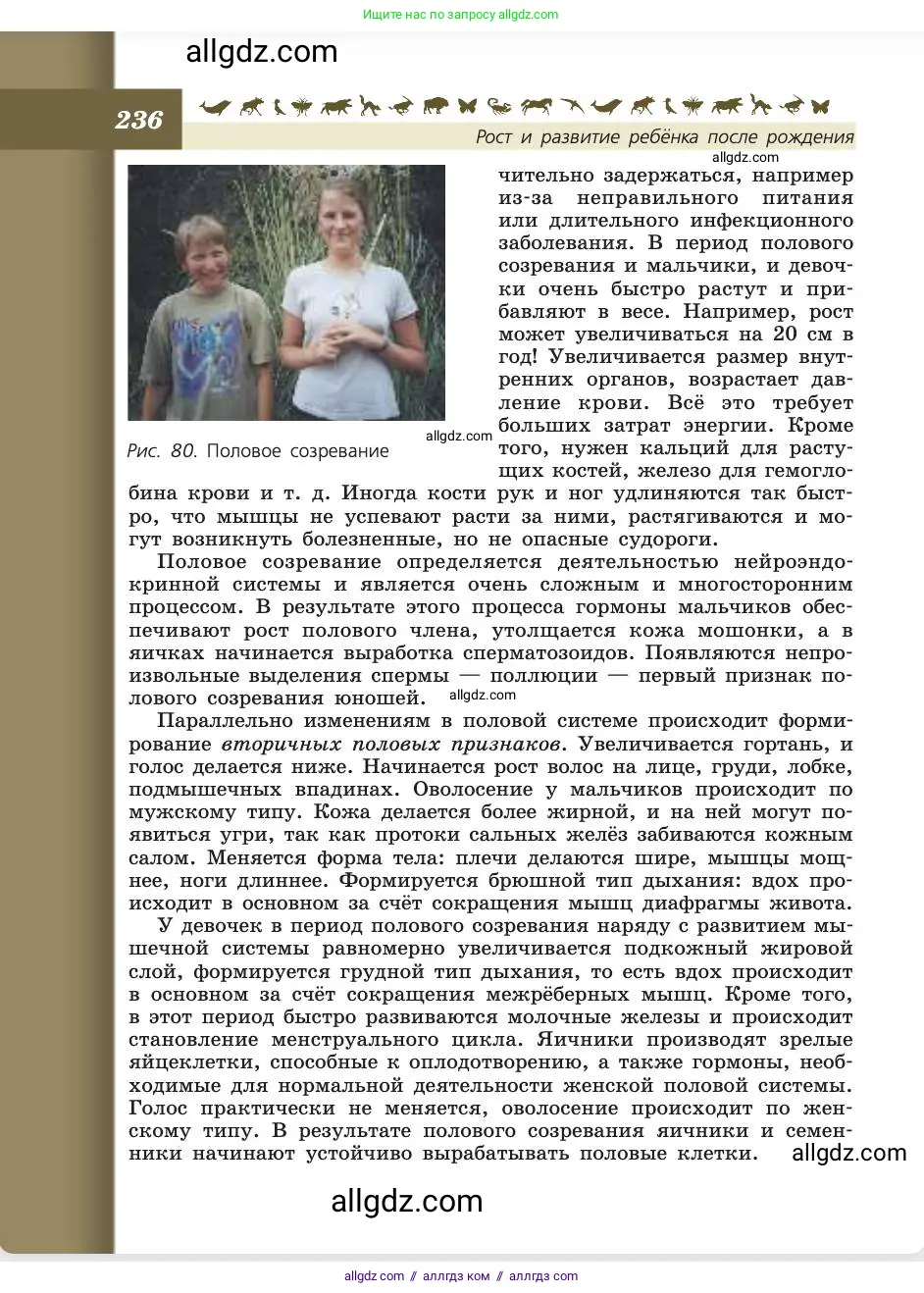 Биология, 8 класс Учебник, авторы: Пасечник Владимир Васильевич, Каменский Андрей Александрович, Швецов Глеб Геннадьевич, издательство Просвещение, Москва, 2019, страница 236