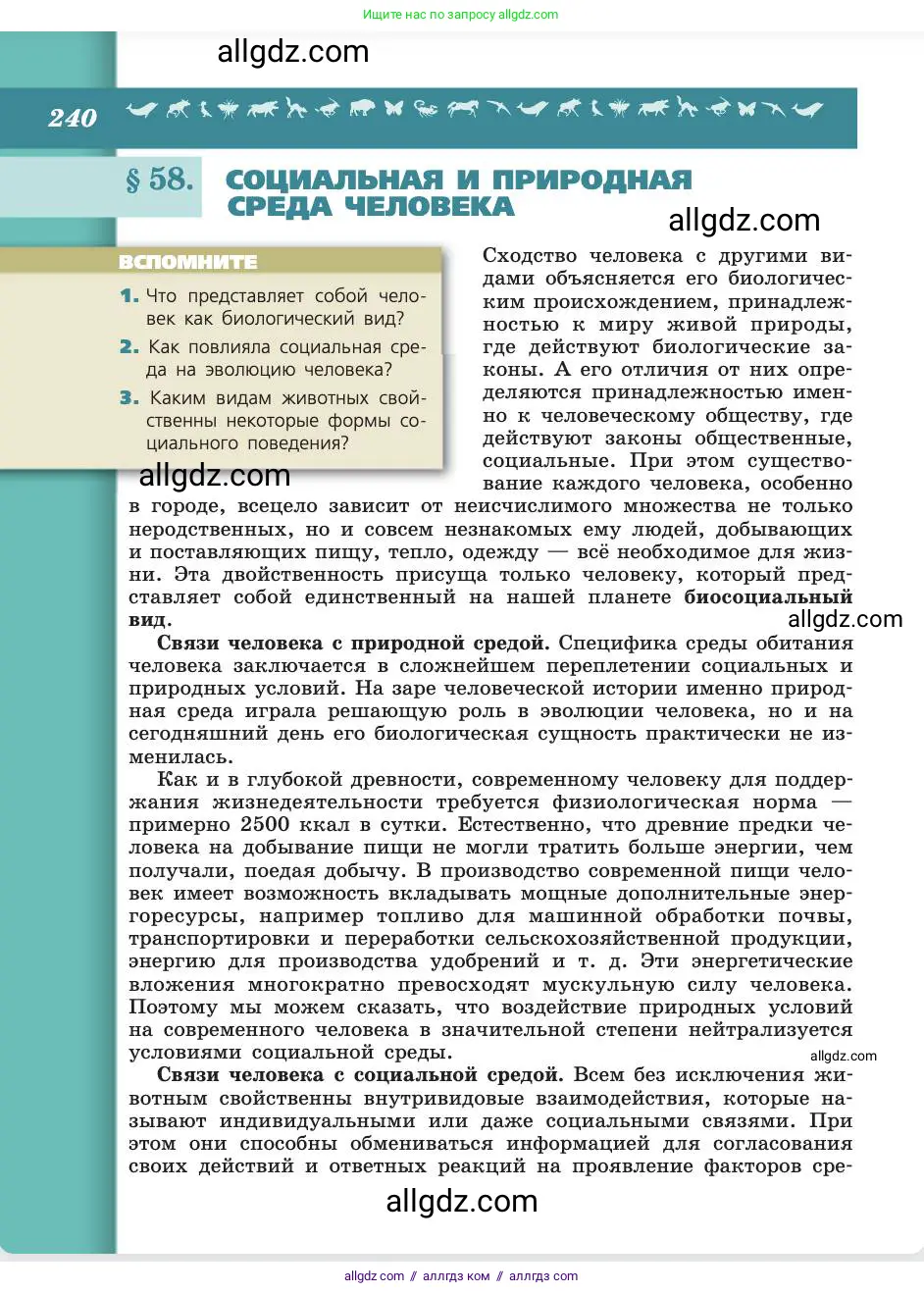 Биология, 8 класс Учебник, авторы: Пасечник Владимир Васильевич, Каменский Андрей Александрович, Швецов Глеб Геннадьевич, издательство Просвещение, Москва, 2019, страница 240