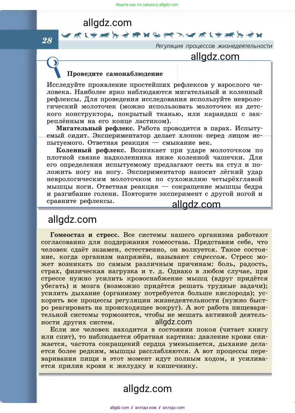 Биология, 8 класс Учебник, авторы: Пасечник Владимир Васильевич, Каменский Андрей Александрович, Швецов Глеб Геннадьевич, издательство Просвещение, Москва, 2019, страница 28