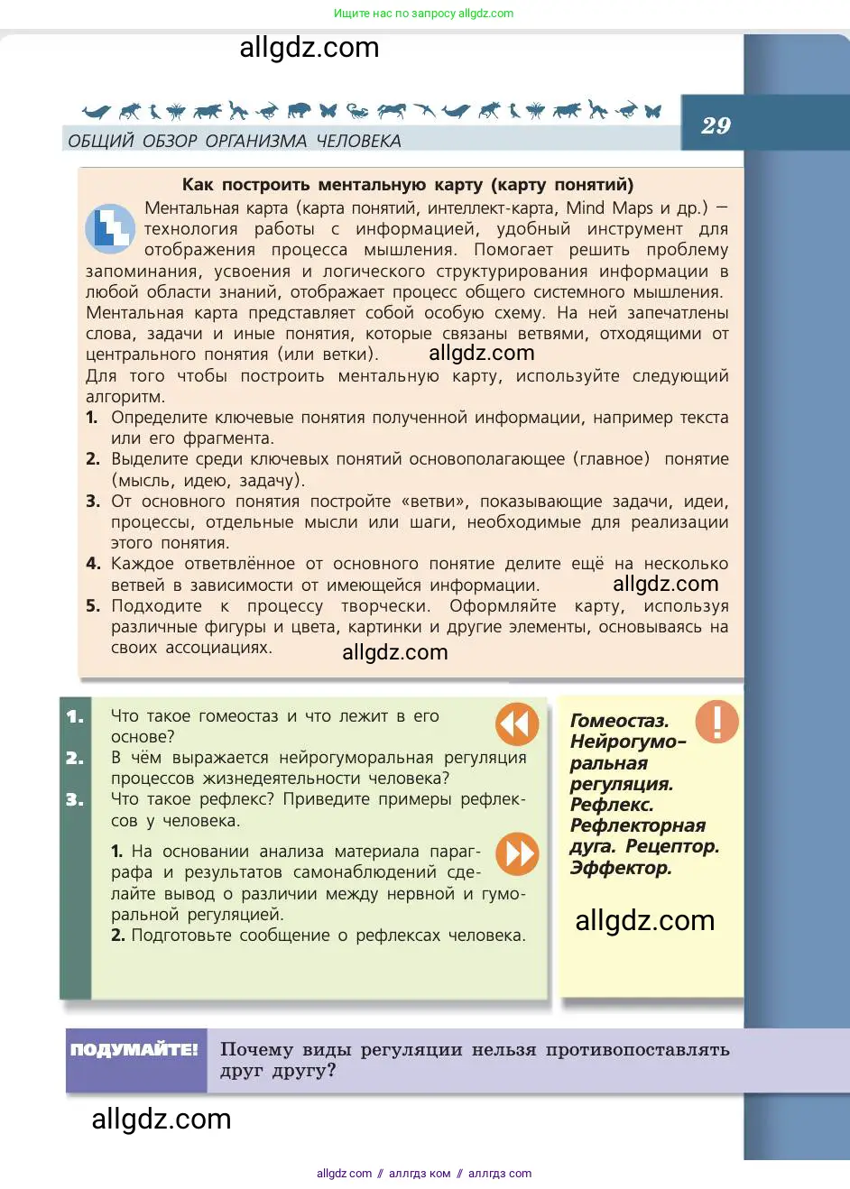 Биология, 8 класс Учебник, авторы: Пасечник Владимир Васильевич, Каменский Андрей Александрович, Швецов Глеб Геннадьевич, издательство Просвещение, Москва, 2019, страница 29